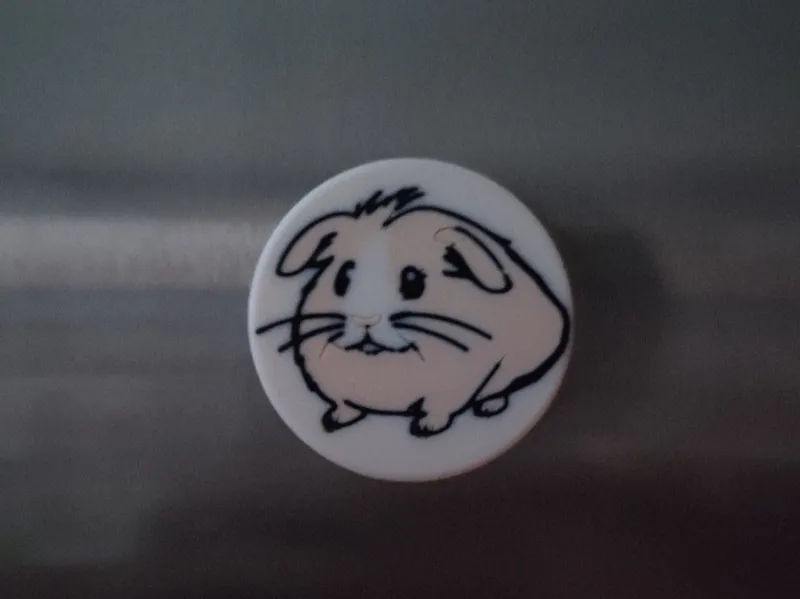 Guinea Pig - Fridge Magnet
