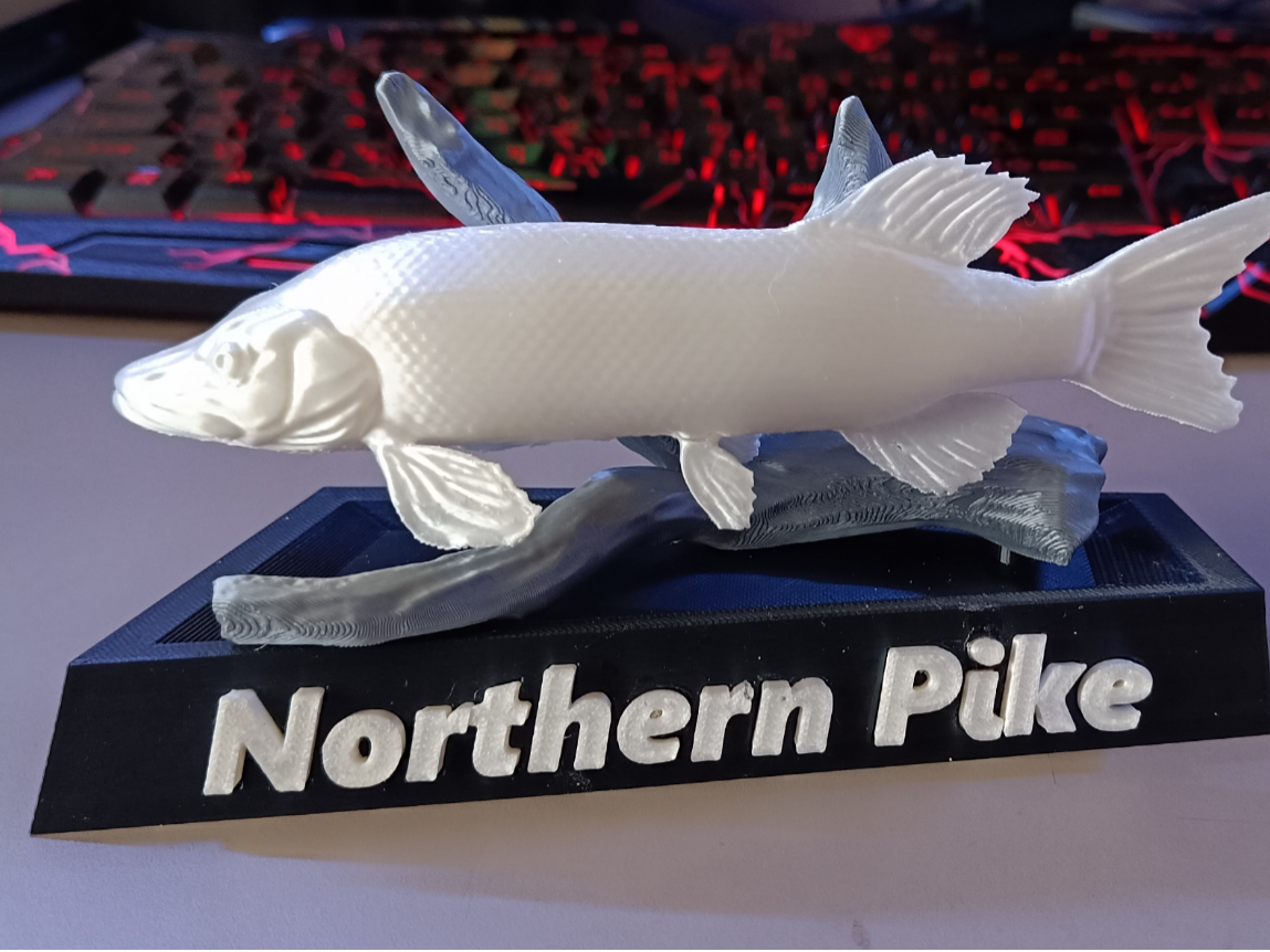 Northern Pike — Fishing Collection 01