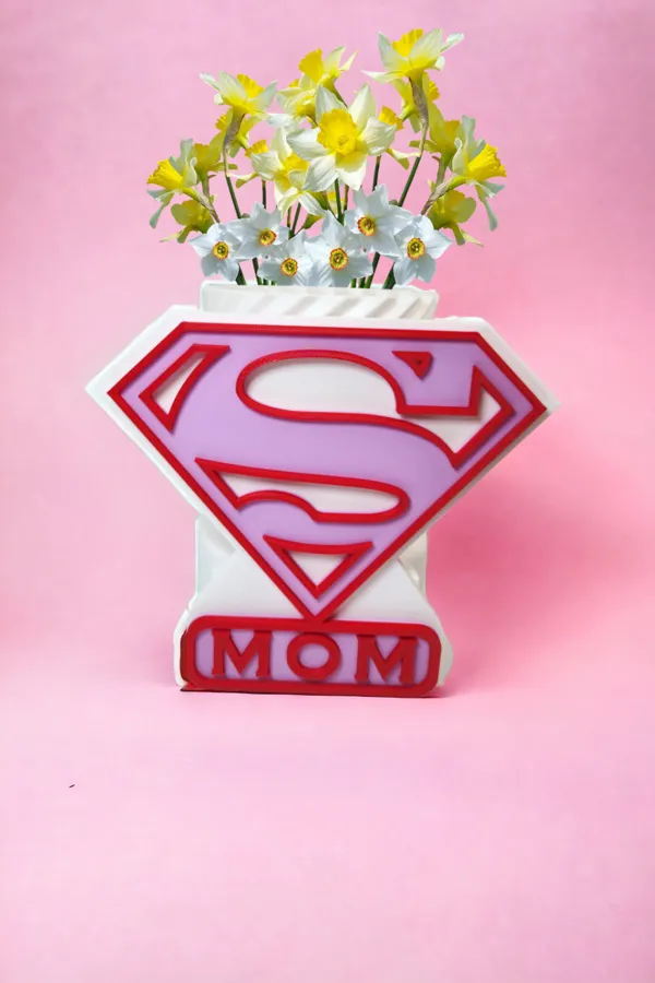 https://makerworld.bblmw.com/makerworld/model/USd7a21c3a77c067/design/2024-04-22_d3e7994d4554d.png