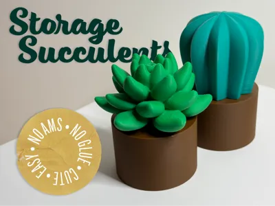 Storage Succulents