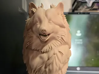 Dog 