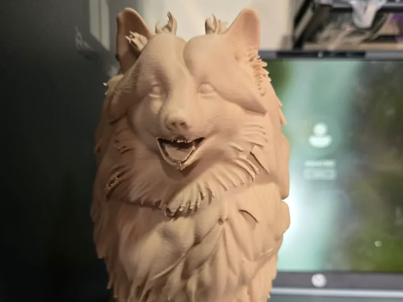 Dog 