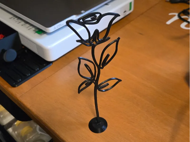 rosa