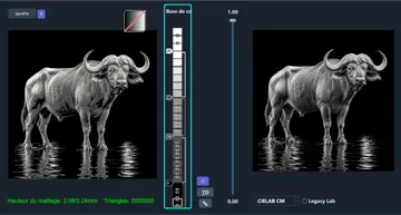 Cuadro decorativo en 3D: Hueforge - Buffle solitaire — vista de referencia 4