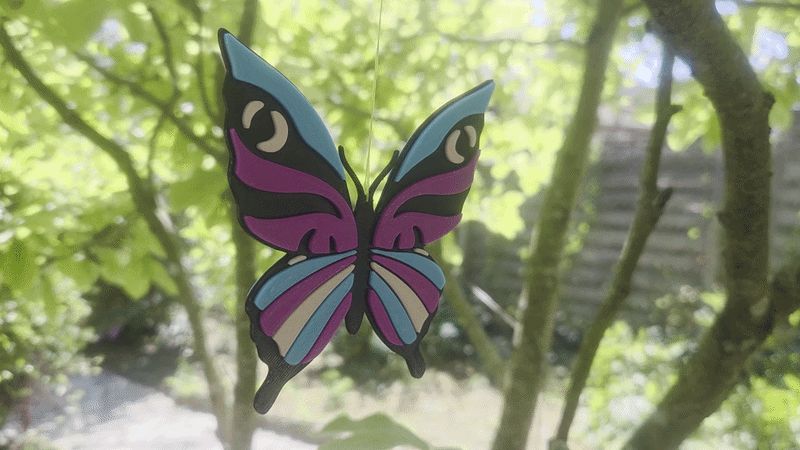 SAWLLOWTAIL BUTTERFLIE