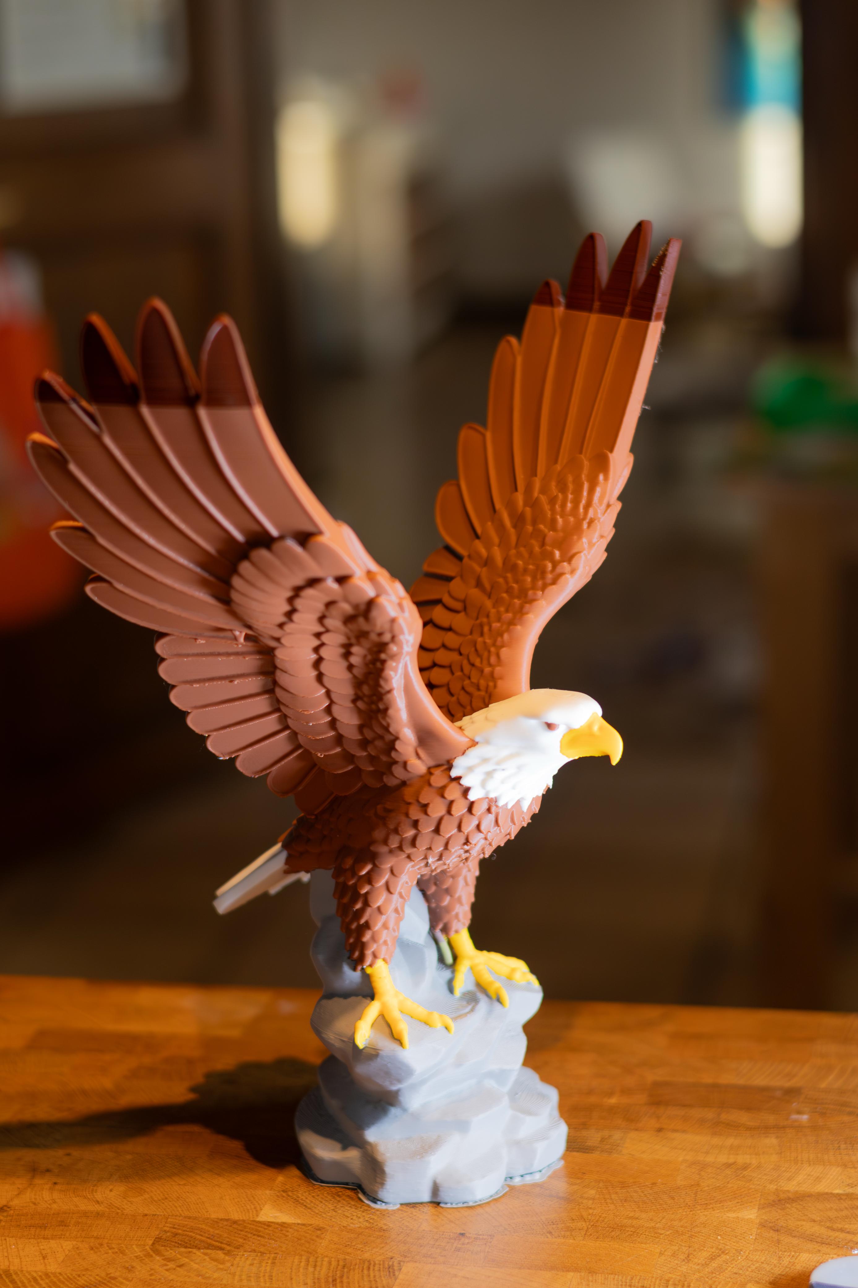 Miniatura 3 do modelo 3D Bald Eagle ALEX.