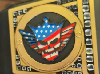 WWE Cody Rhodes Plates