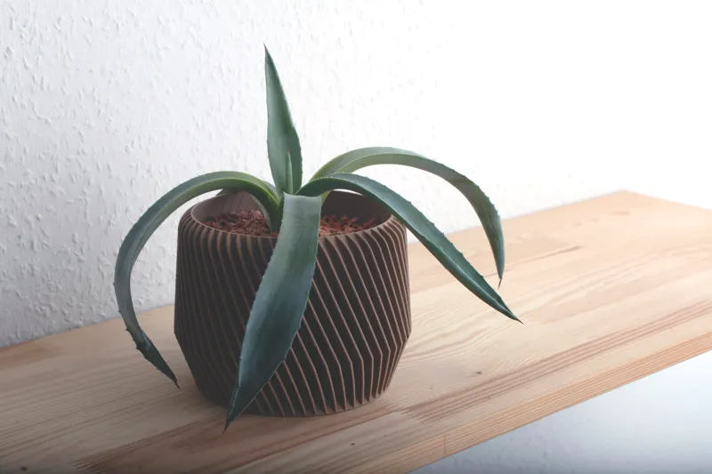 Geometric Planter 3