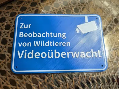 Video surveillance for animals