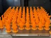 100 fish
