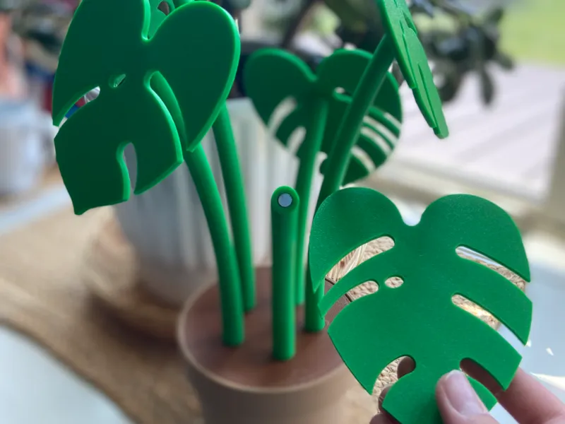 Monstera plant coasters