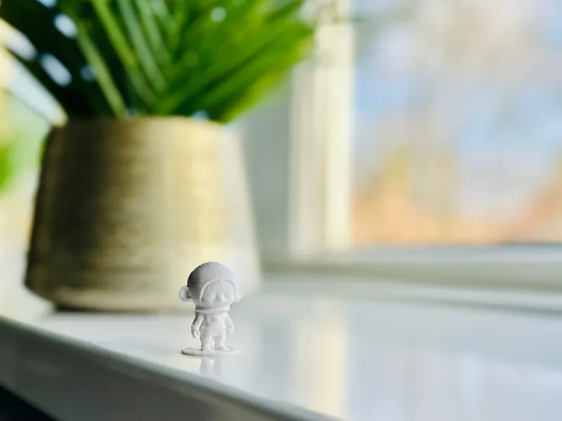 Last filament Cute Monkey astronaut