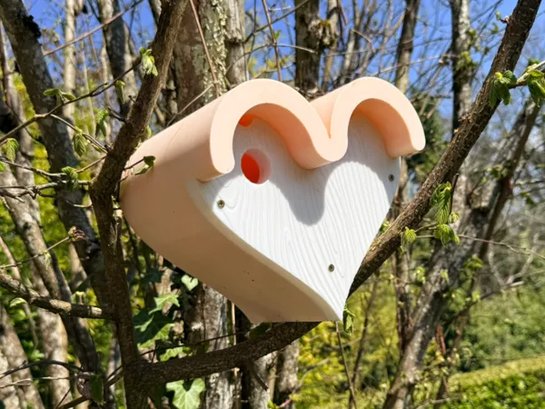 https://makerworld.bblmw.com/makerworld/model/USd7c052d69f23ee/design/426830d6df88055a.jpeg