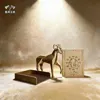 Capricorn