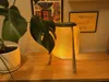 v.4+25+floor+lamp (hidden magnets)
