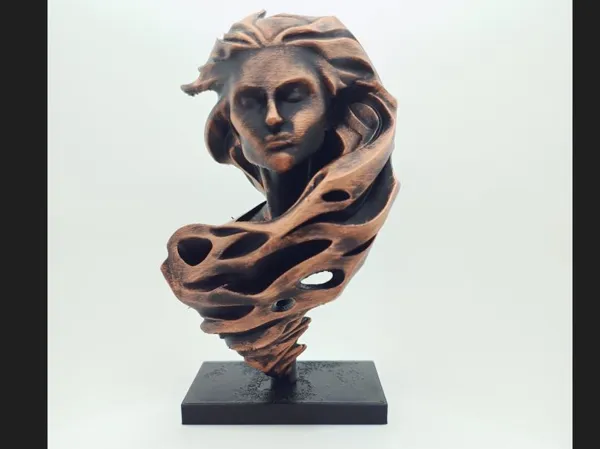 https://makerworld.bblmw.com/makerworld/model/USd7c46405b322d7/design/2025-06-19_fd68d52e38771.jpg