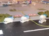 All 3 Versions on Different Plates