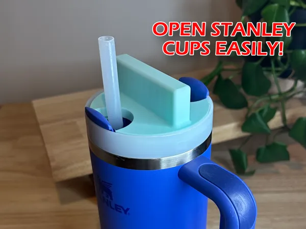 https://makerworld.bblmw.com/makerworld/model/USd7c4ad5d39351d/design/2025-02-05_0865d897cc883.png
