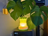 Self Watering Pot