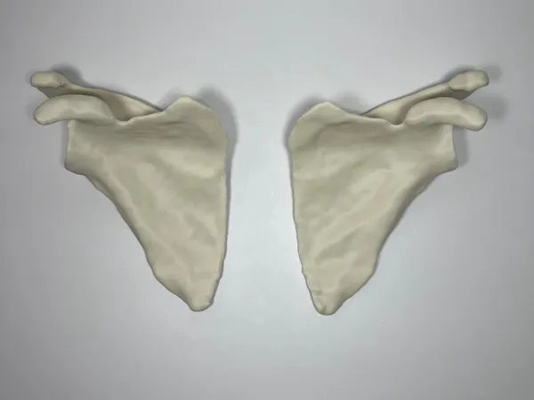 https://makerworld.bblmw.com/makerworld/model/USd7c764224b9f00/design/2025-08-09_d08f677396eb2.jpg