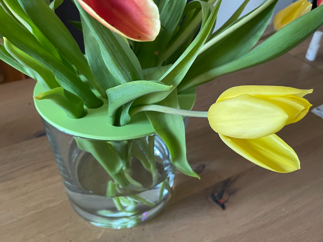 Tulpenhalter für grosse Vasen