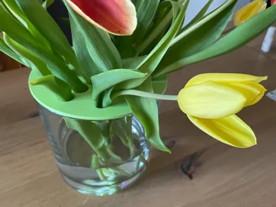 Tulip holder for large vases