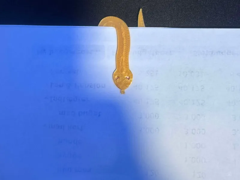Snake paper clip