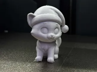 Cute Christmas Cat Santa's hat