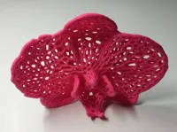 Orchidée façon Voronoi — photo 2