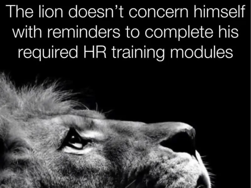 Wise Lion - HR training modules