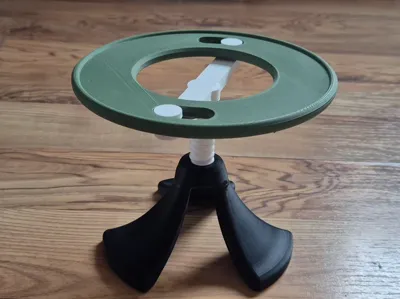 Pet's food tray