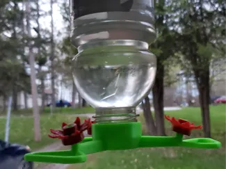 Hummingbird Feeder