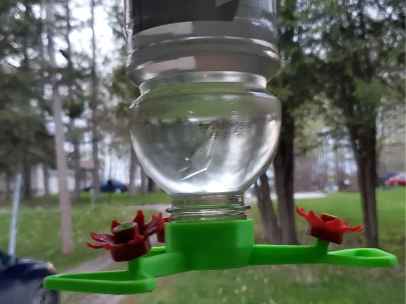 Hummingbird Feeder