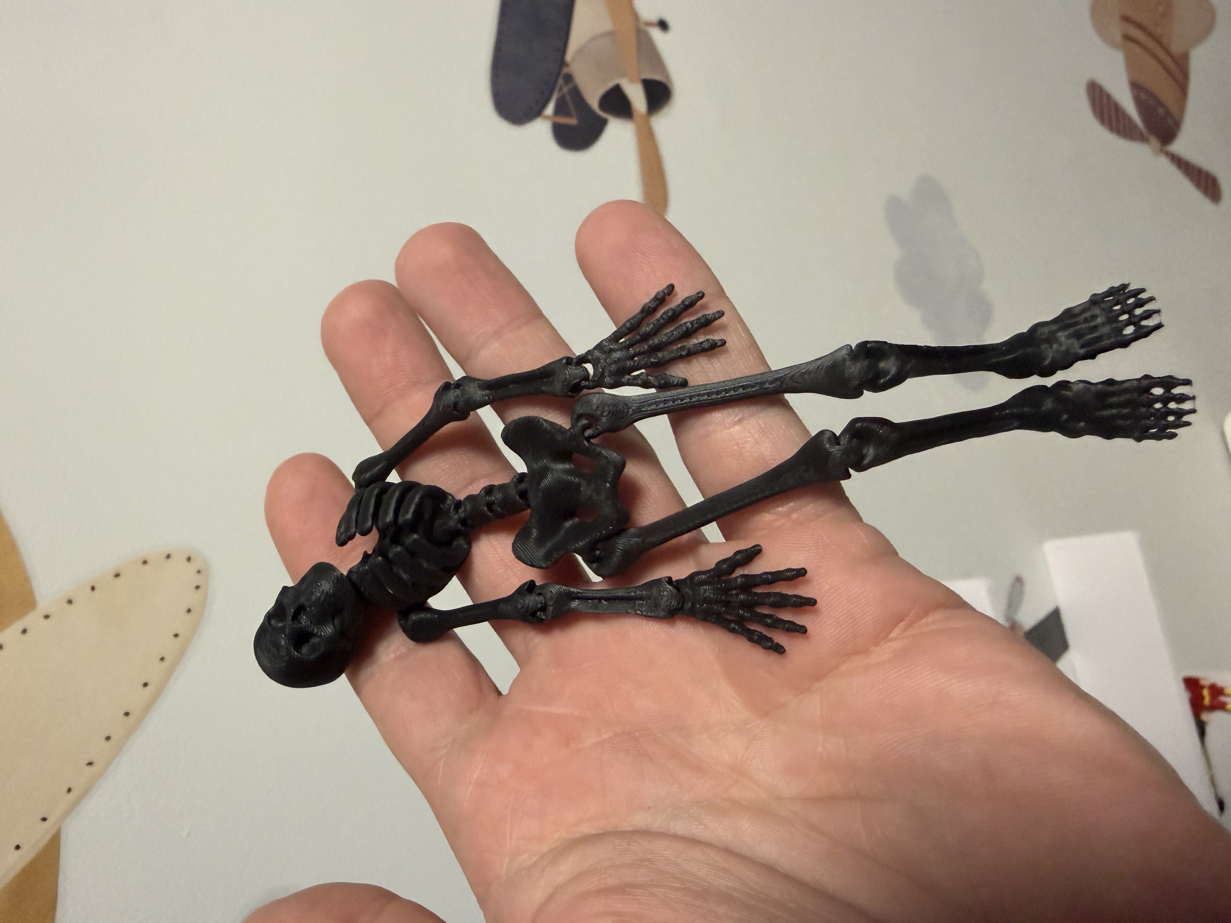 Miniatura 3 do modelo 3D Flexi skeleton