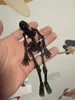 50% Scale