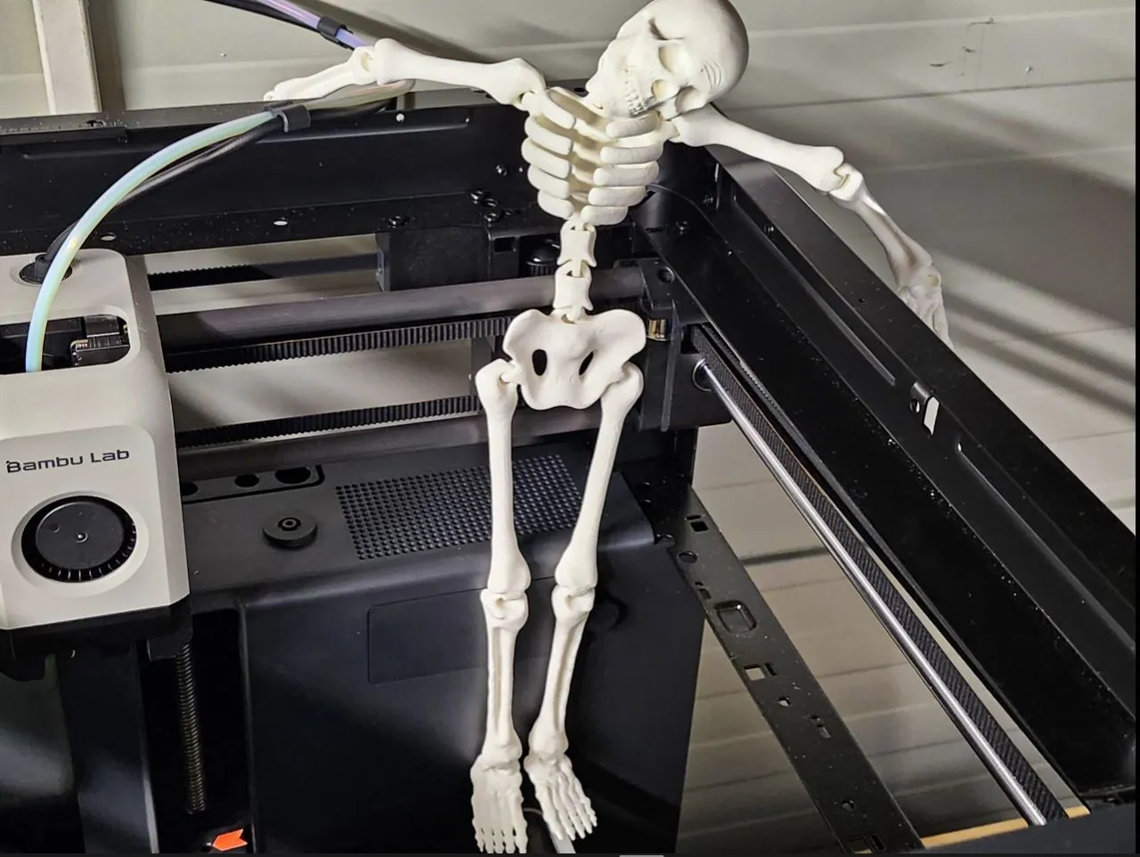 Flexi skeleton view 4