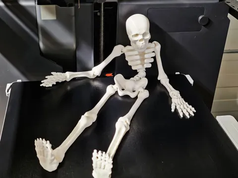 Flexi skeleton view 2