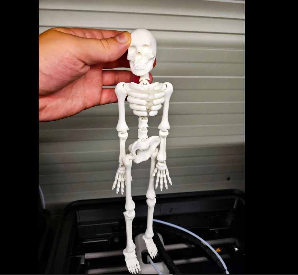 Flexi skeleton view 3