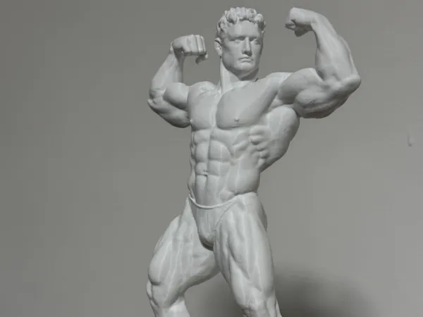 https://makerworld.bblmw.com/makerworld/model/USd7ef4ea3724cc8/design/d9b070c90bf09ee1.jpg