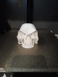 Sea of Thieves Skull Print Profile 2