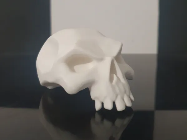 https://makerworld.bblmw.com/makerworld/model/USd7ef6e6d8e1ce3/design/2025-02-22_93f70b90e24f9.jpg