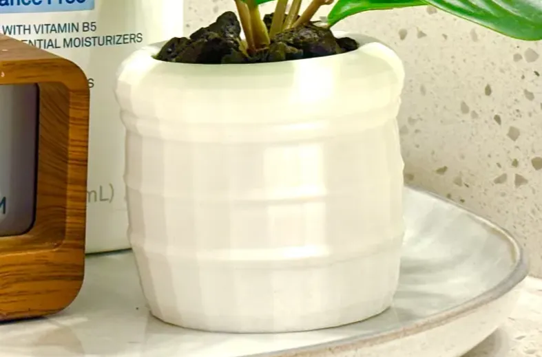 Beautiful plant pot