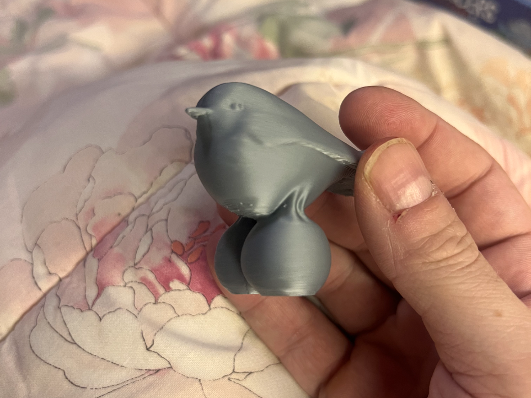 Emotional Support Bird – The Mood Trophy