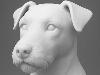 Mixed breed bust