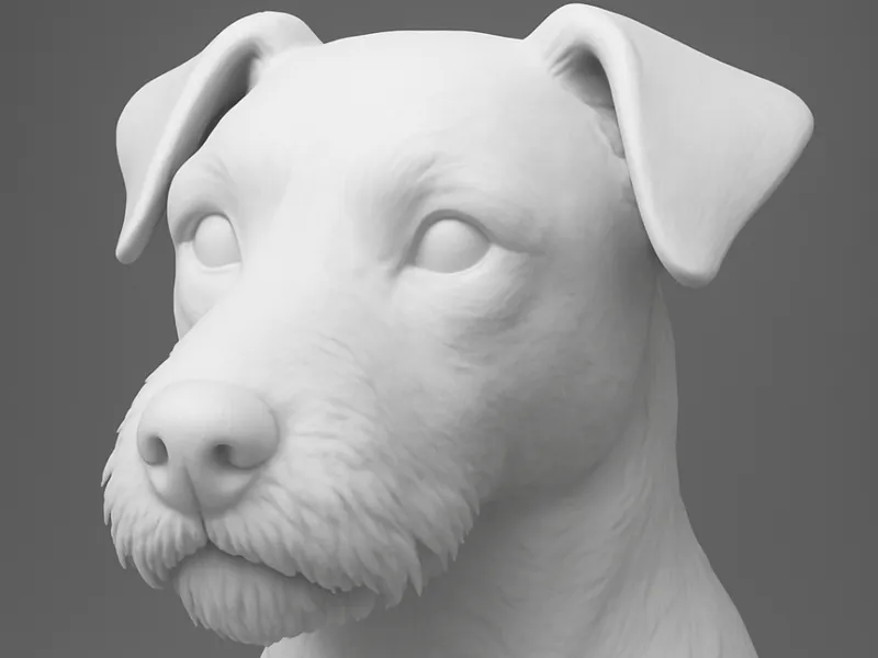Mixed breed bust