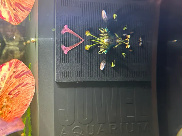 https://makerworld.bblmw.com/makerworld/model/USd7f84c0083f21e/design/2025-10-30_4e5b517d66b2d.jpg