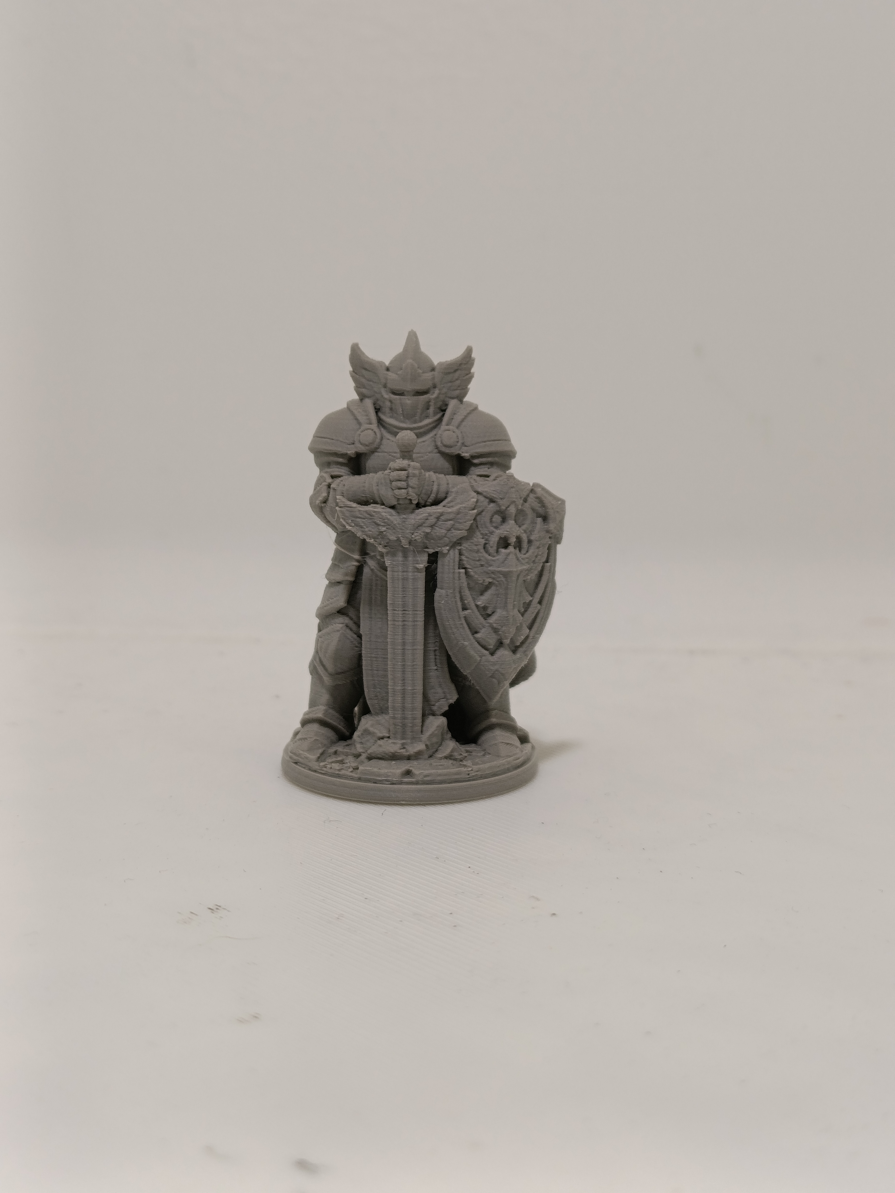 Miniatura 2 do modelo 3D supportless dnd paladin
