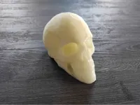 Crâne low poly issu d'un scan 3D — photo 2