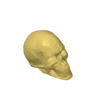 Crâne low poly issu d'un scan 3D — photo 3