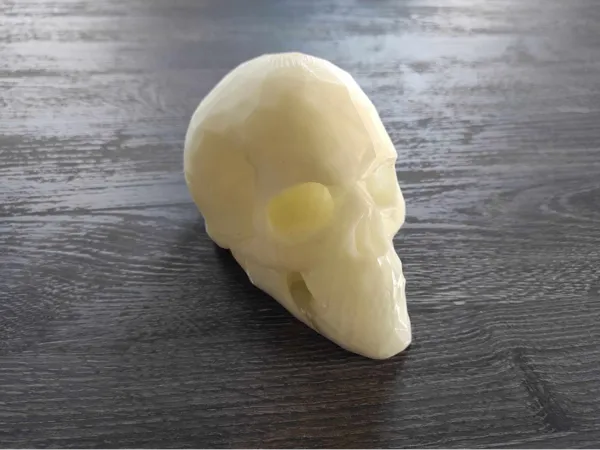 Crâne low poly issu d'un scan 3D